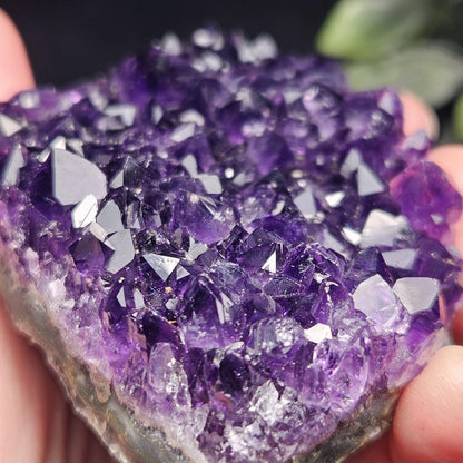 AAA Uruguay Amethyst Stalactite Cluster 218g