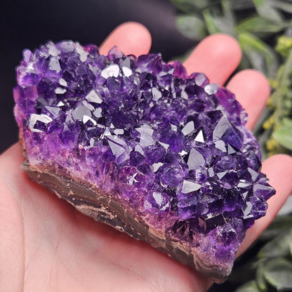AAA Uruguay Amethyst Stalactite Cluster 218g