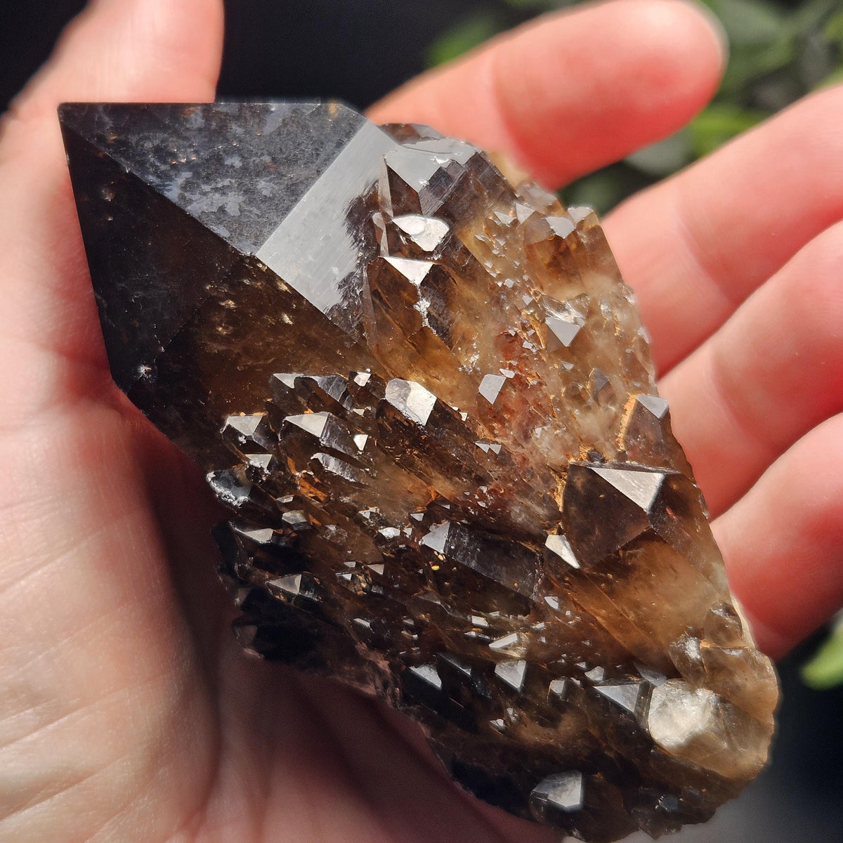 Kundalini Congo Citrine Quartz Cluster 204g, Smoky Citrine Crystal Multi