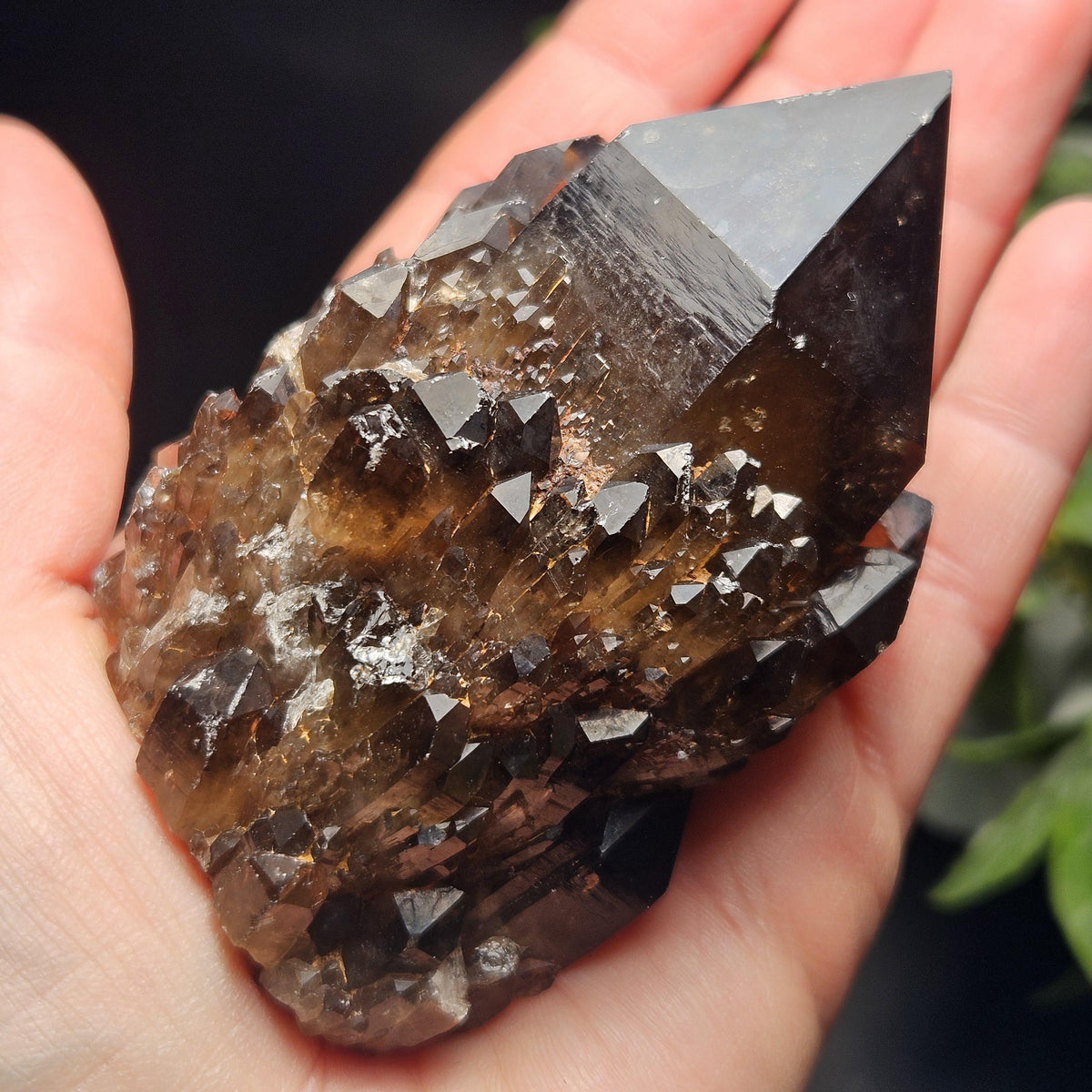 Kundalini Congo Citrine Quartz Cluster 204g, Smoky Citrine Crystal Multi