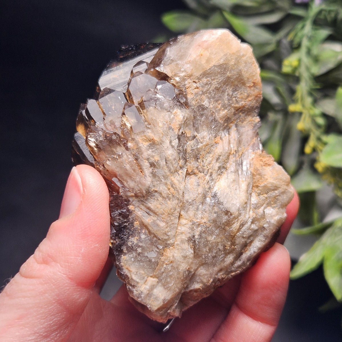 Kundalini Congo Citrine Quartz Cluster 204g, Smoky Citrine Crystal Multi
