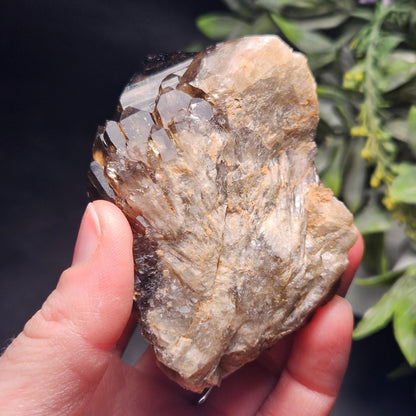 Kundalini Congo Citrine Quartz Cluster 204g, Smoky Citrine Crystal Multi