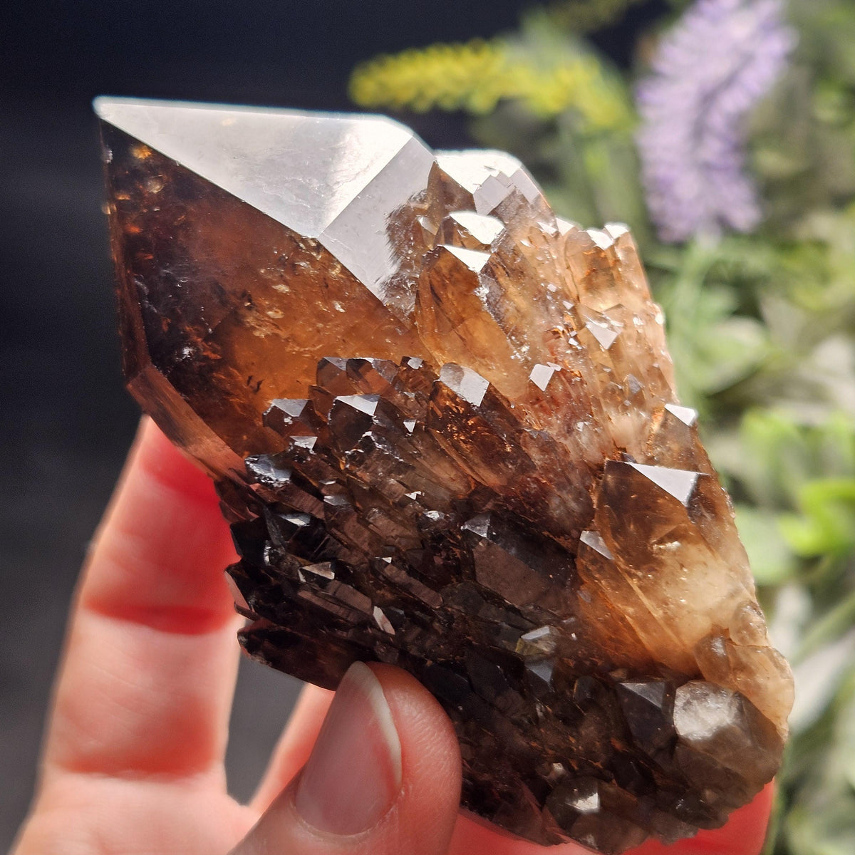 Kundalini Congo Citrine Quartz Cluster 204g, Smoky Citrine Crystal Multi