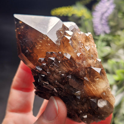 Kundalini Congo Citrine Quartz Cluster 204g, Smoky Citrine Crystal Multi