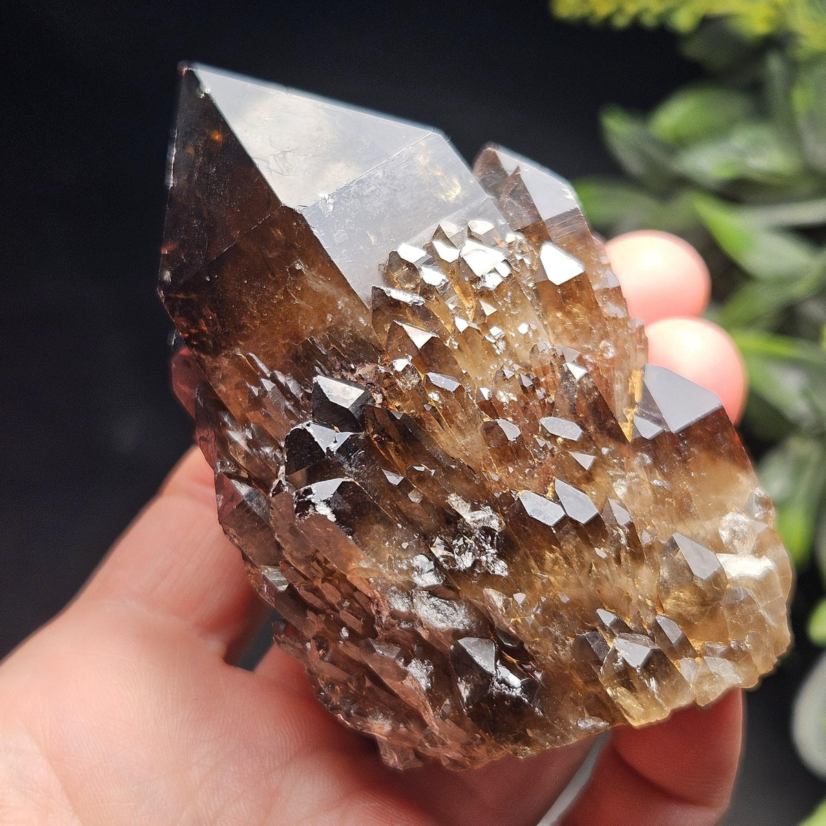 Kundalini Congo Citrine Quartz Cluster 204g, Smoky Citrine Crystal Multi
