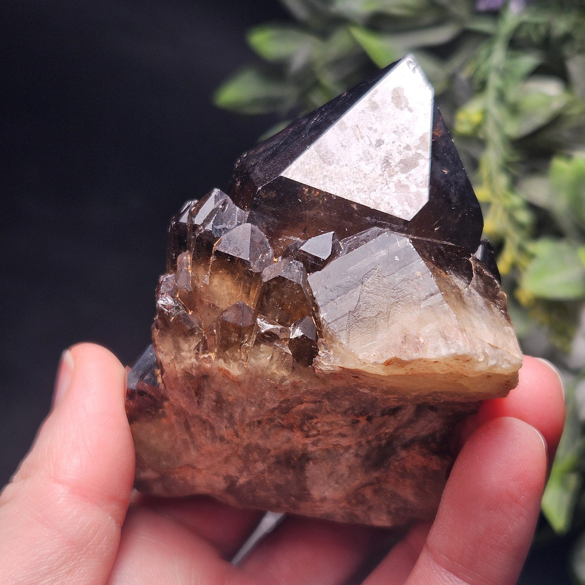 Kundalini Congo Citrine Quartz Cluster 204g, Smoky Citrine Crystal Multi