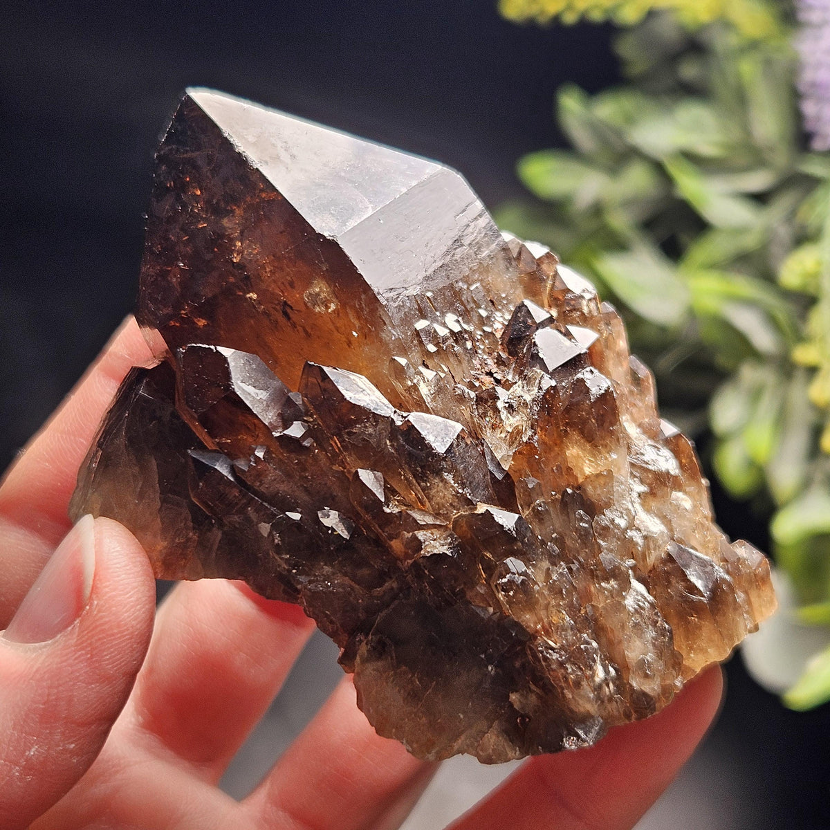 Kundalini Congo Citrine Quartz Cluster 204g, Smoky Citrine Crystal Multi