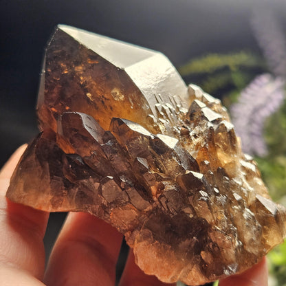 Kundalini Congo Citrine Quartz Cluster 204g, Smoky Citrine Crystal Multi