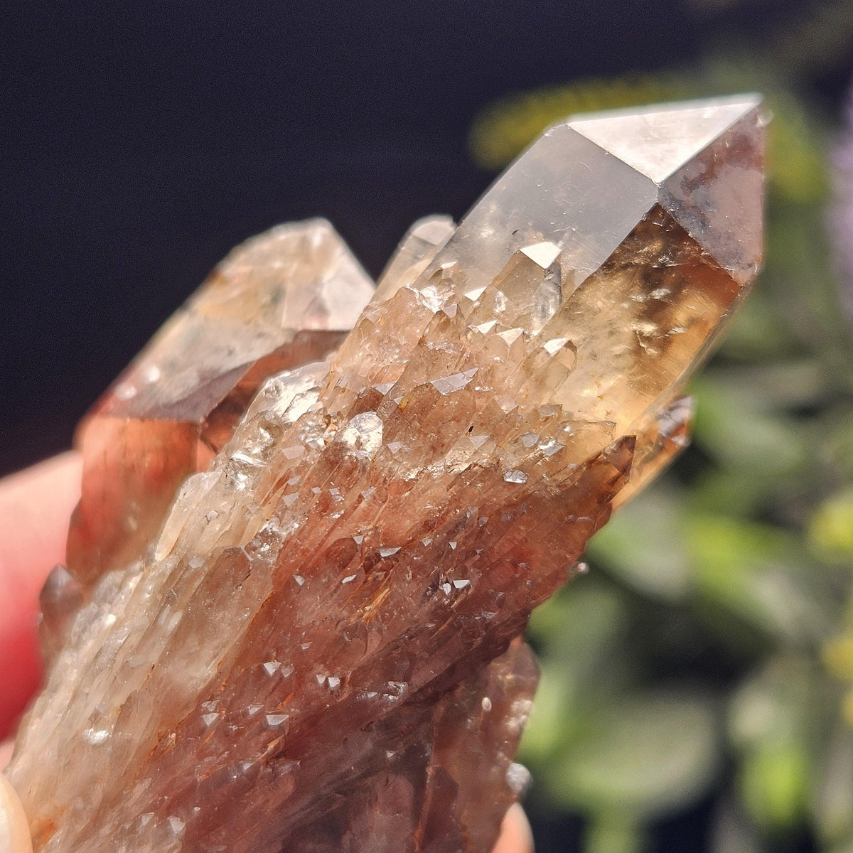 Kundalini Congo Citrine Quartz Cluster 93.58g, Smoky Citrine Crystal