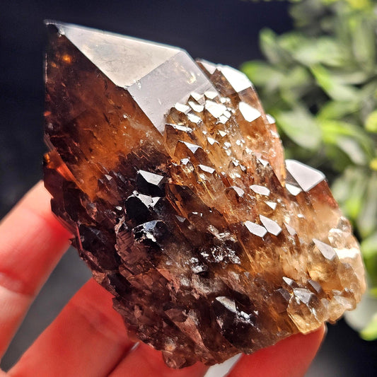 Kundalini Congo Citrine Quartz Cluster 204g, Smoky Citrine Crystal Multi