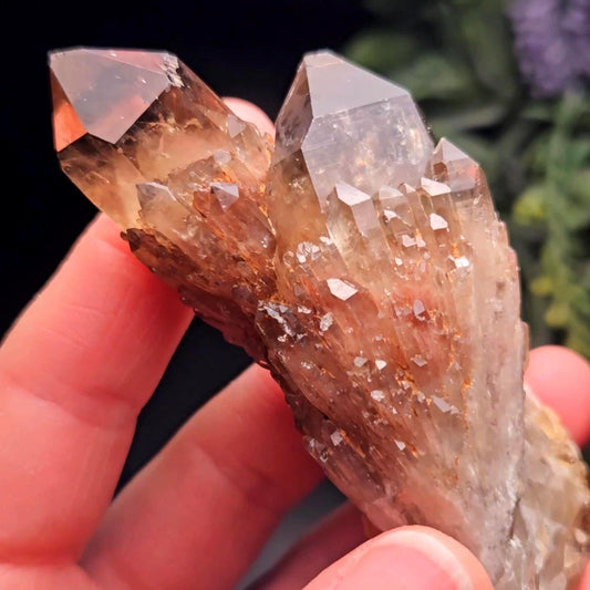 Kundalini Congo Citrine Quartz Cluster 93.58g, Smoky Citrine Crystal Multi