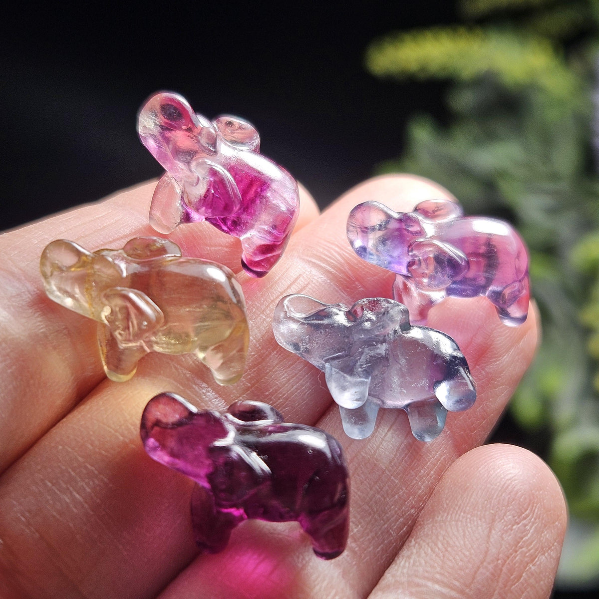Rainbow Fluorite Elephant Carving