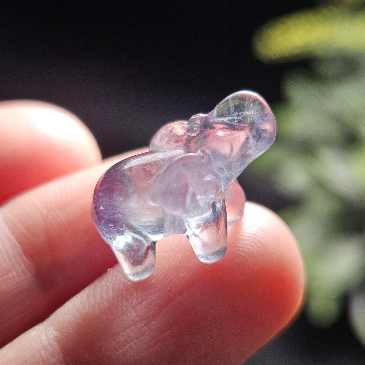 Rainbow Fluorite Elephant Carving