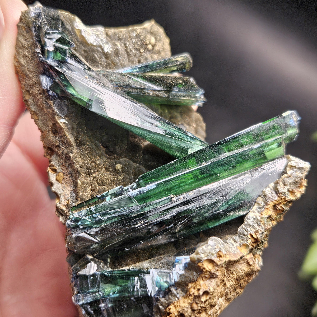 Vivianite Crystal Cluster Specimen 122g