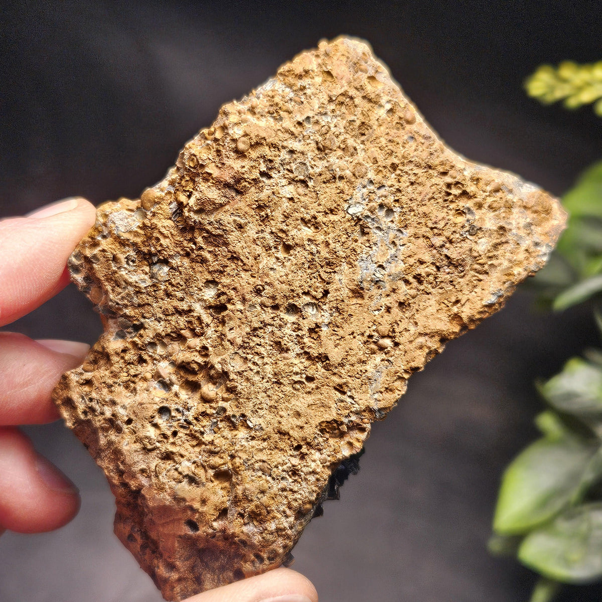 Vivianite Crystal Cluster Specimen 122g