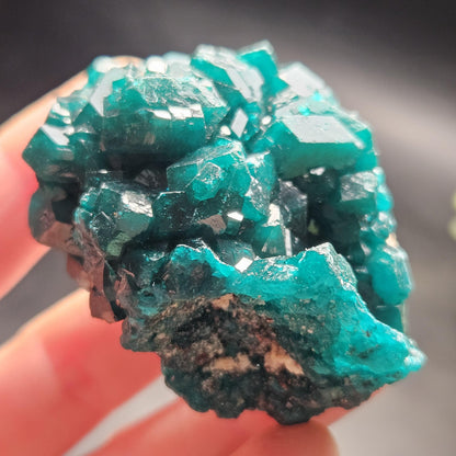 Dioptase Crystal Cluster from Congo 66.30g