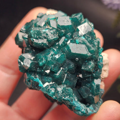 Dioptase Crystal Cluster from Congo 66.30g