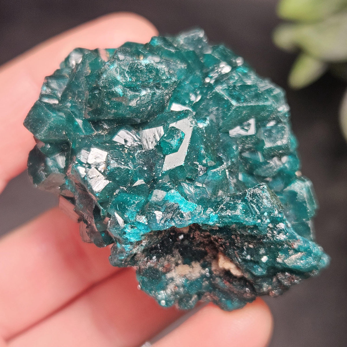 Dioptase Crystal Cluster from Congo 66.30g