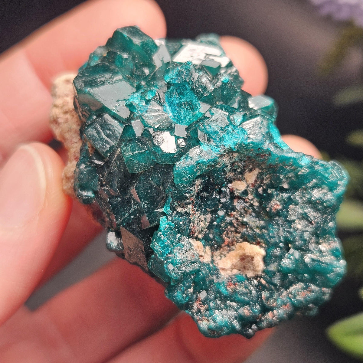 Dioptase Crystal Cluster from Congo 66.30g
