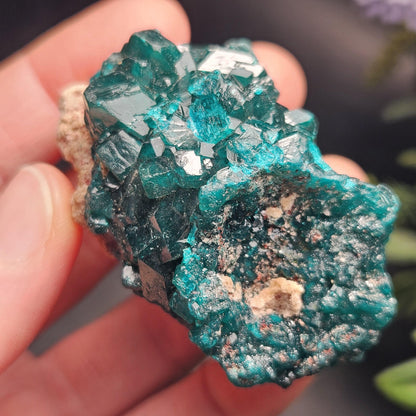 Dioptase Crystal Cluster from Congo 66.30g