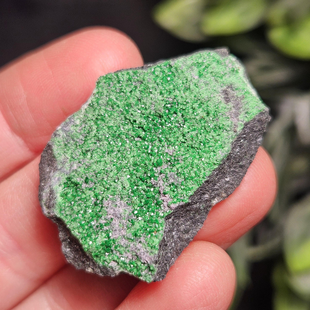 Uvarovite Green Garnet Specimen (1