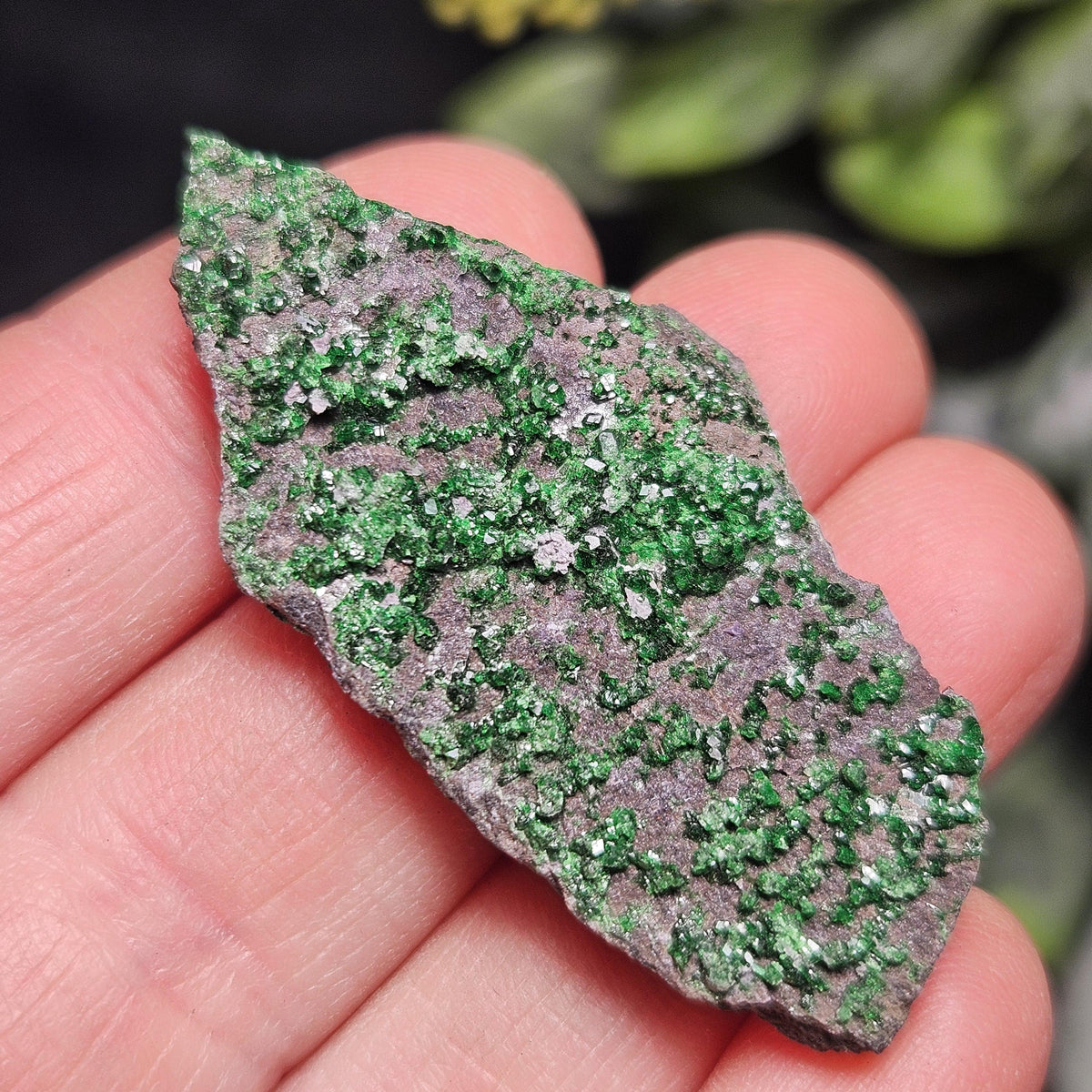Uvarovite Green Garnet Specimen (1