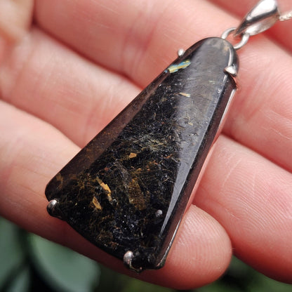 Greenland Nuummite Pendant, Rare Authentic Collector's Crystal