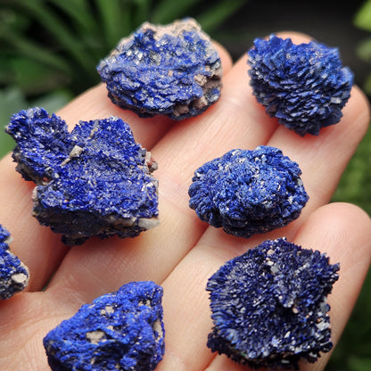 Azurite Crystal Specimen from Morocco, Druzy Terminated Blue Azurite Stone