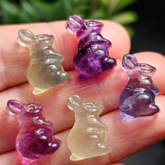 Mini Rabbit Crystal Carving, Rainbow Flourite Bunny Gemstone Polished Miniature