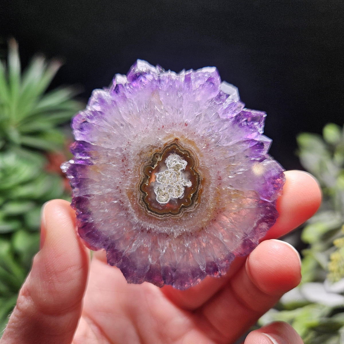 Uruguay Amethyst Stalactite Slice (55 x 55mm)
