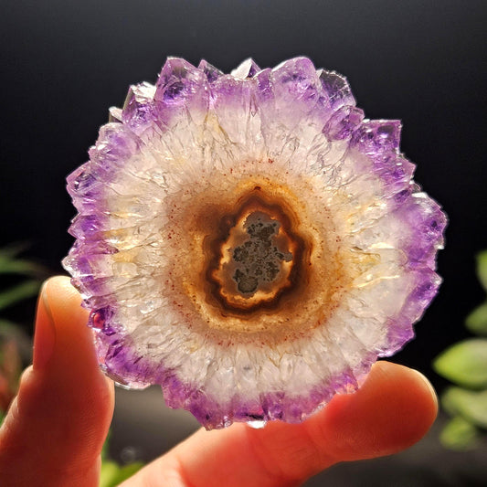 Uruguay Amethyst Stalactite Slice (55 x 55mm)
