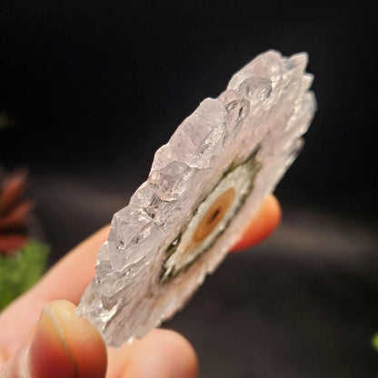 Lavender Amethyst Stalactite Slice with Green Crystal Core (2.5 inches)