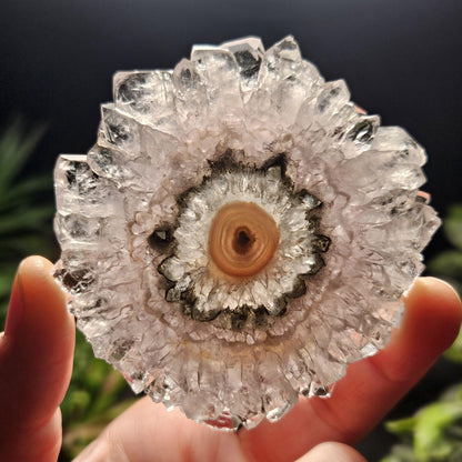 Lavender Amethyst Stalactite Slice with Green Crystal Core (2.5 inches)