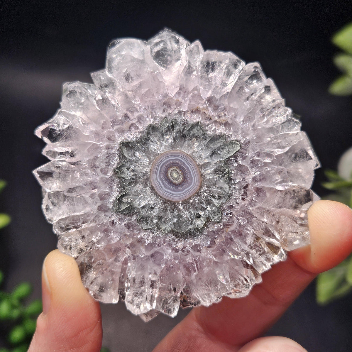 Lavender Amethyst Stalactite Slice with Green Crystal Core (2.5 inches)