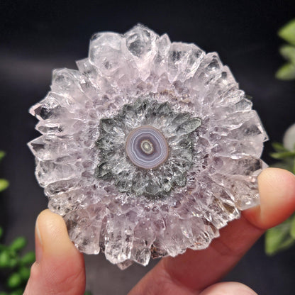 Lavender Amethyst Stalactite Slice with Green Crystal Core (2.5 inches)