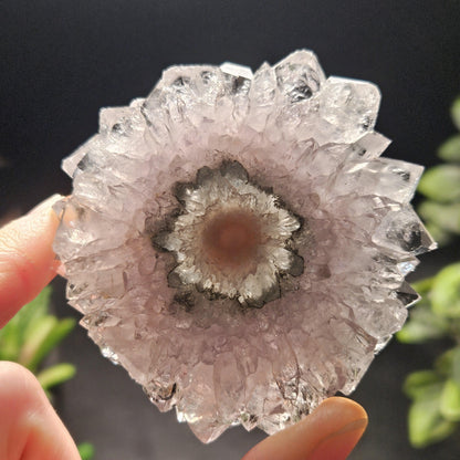 Lavender Amethyst Stalactite Slice with Green Crystal Core (2.5 inches)