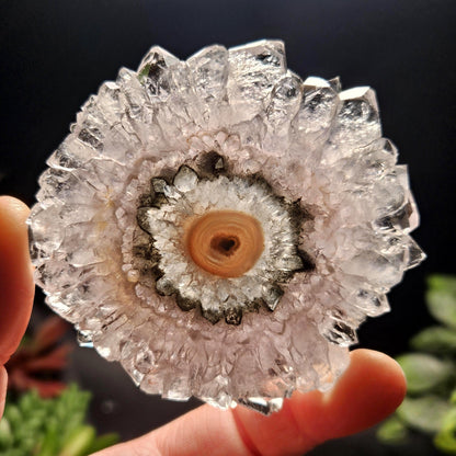 Lavender Amethyst Stalactite Slice with Green Crystal Core (2.5 inches)