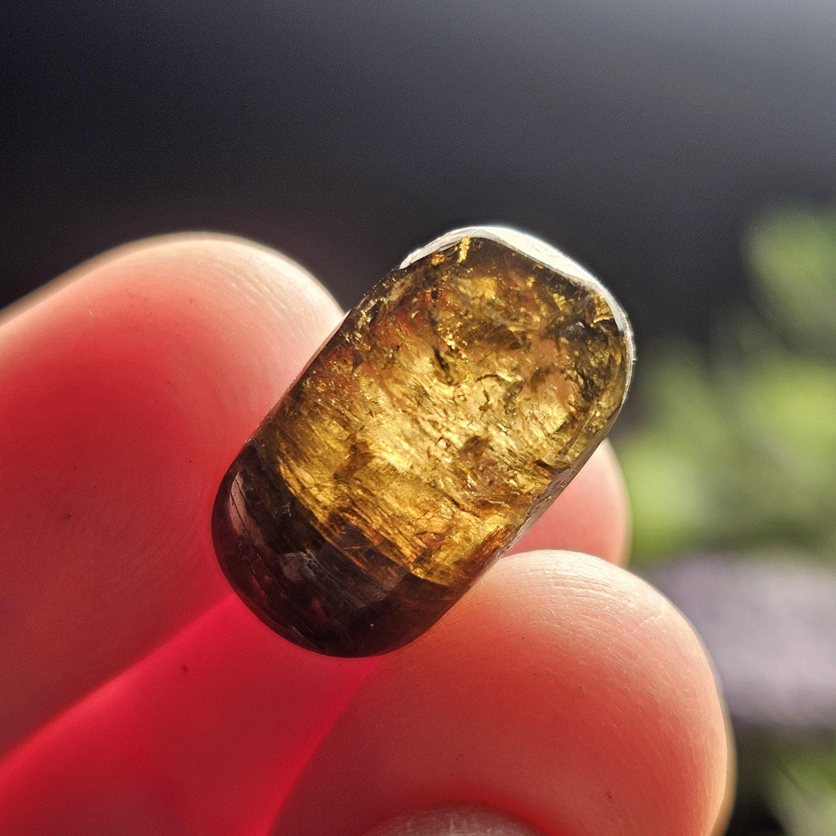 Cognac Tourmaline Crystal, Polished Dravite