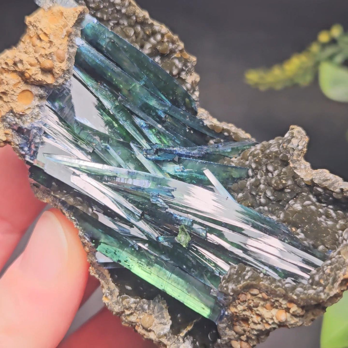 Vivianite Crystal Cluster Specimen 100.67g