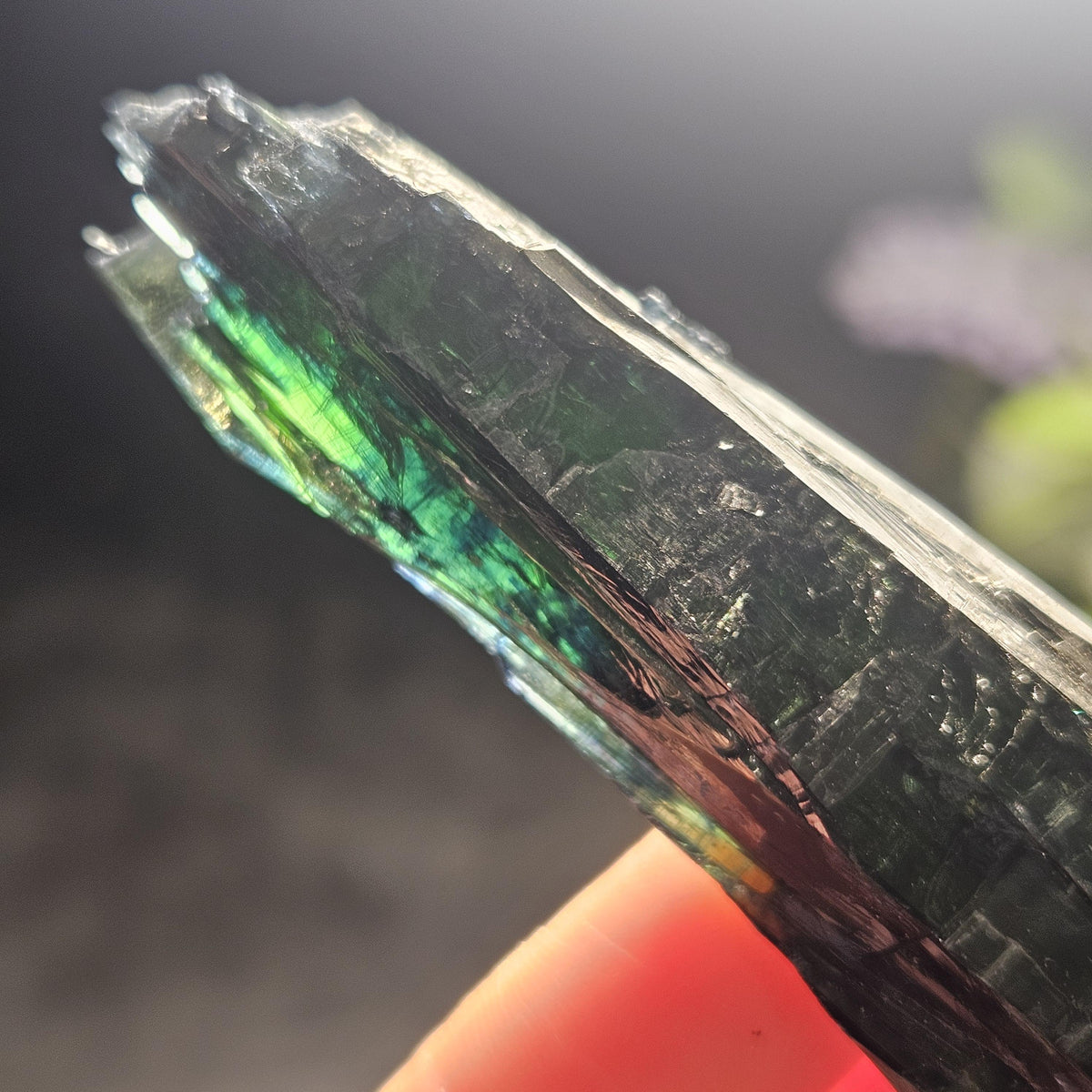 Vivianite Crystal Cluster Specimen 37.43g
