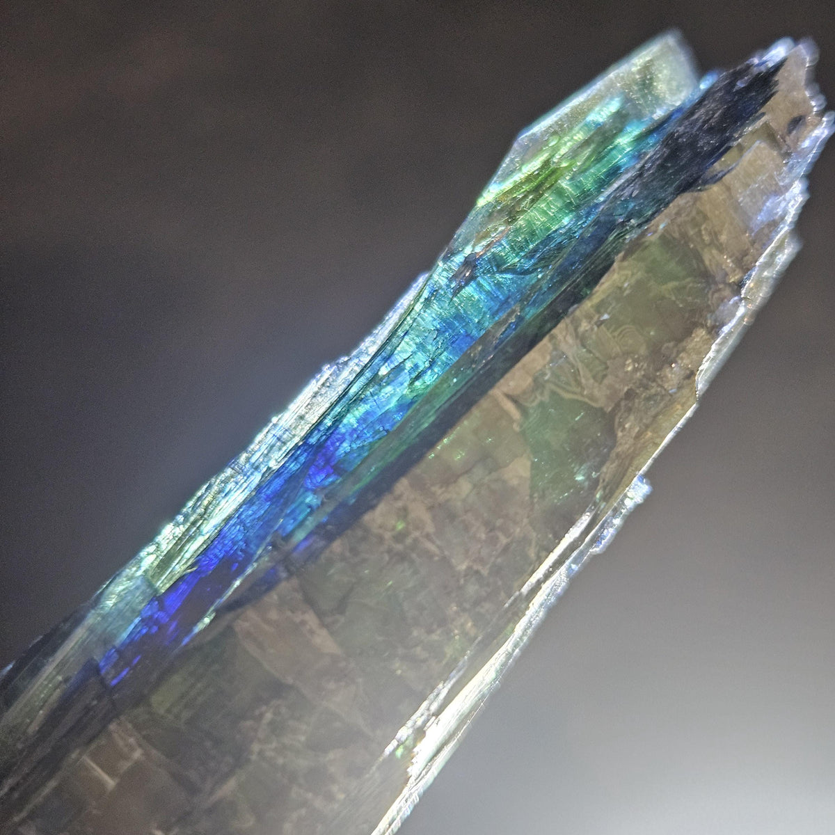 Vivianite Crystal Cluster Specimen 37.43g
