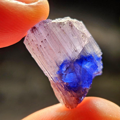 Bi