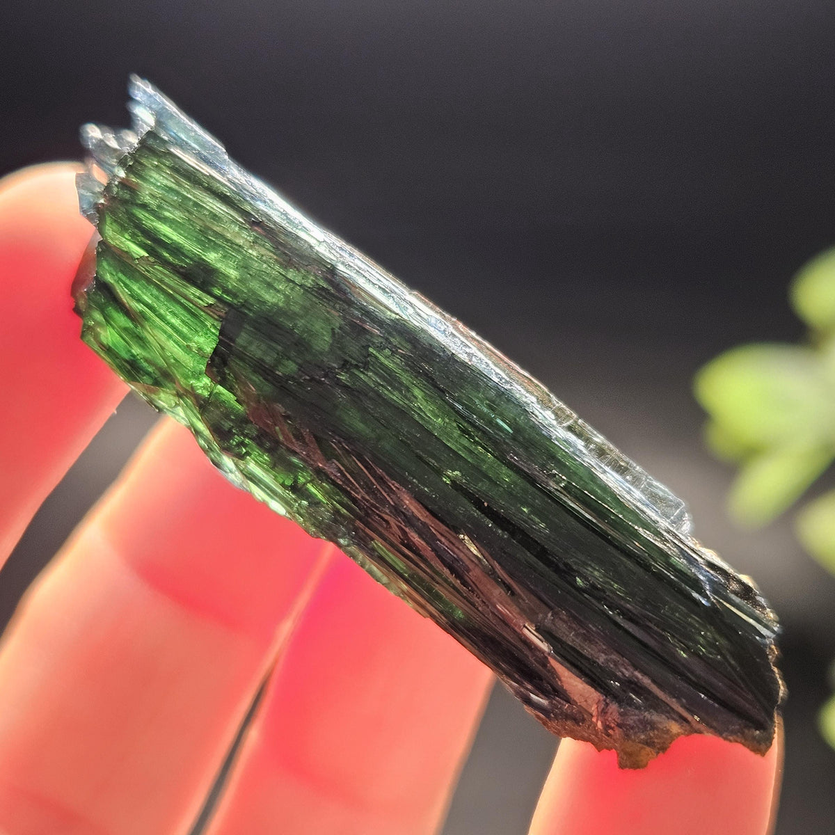 Vivianite Crystal Cluster Specimen 12.17g