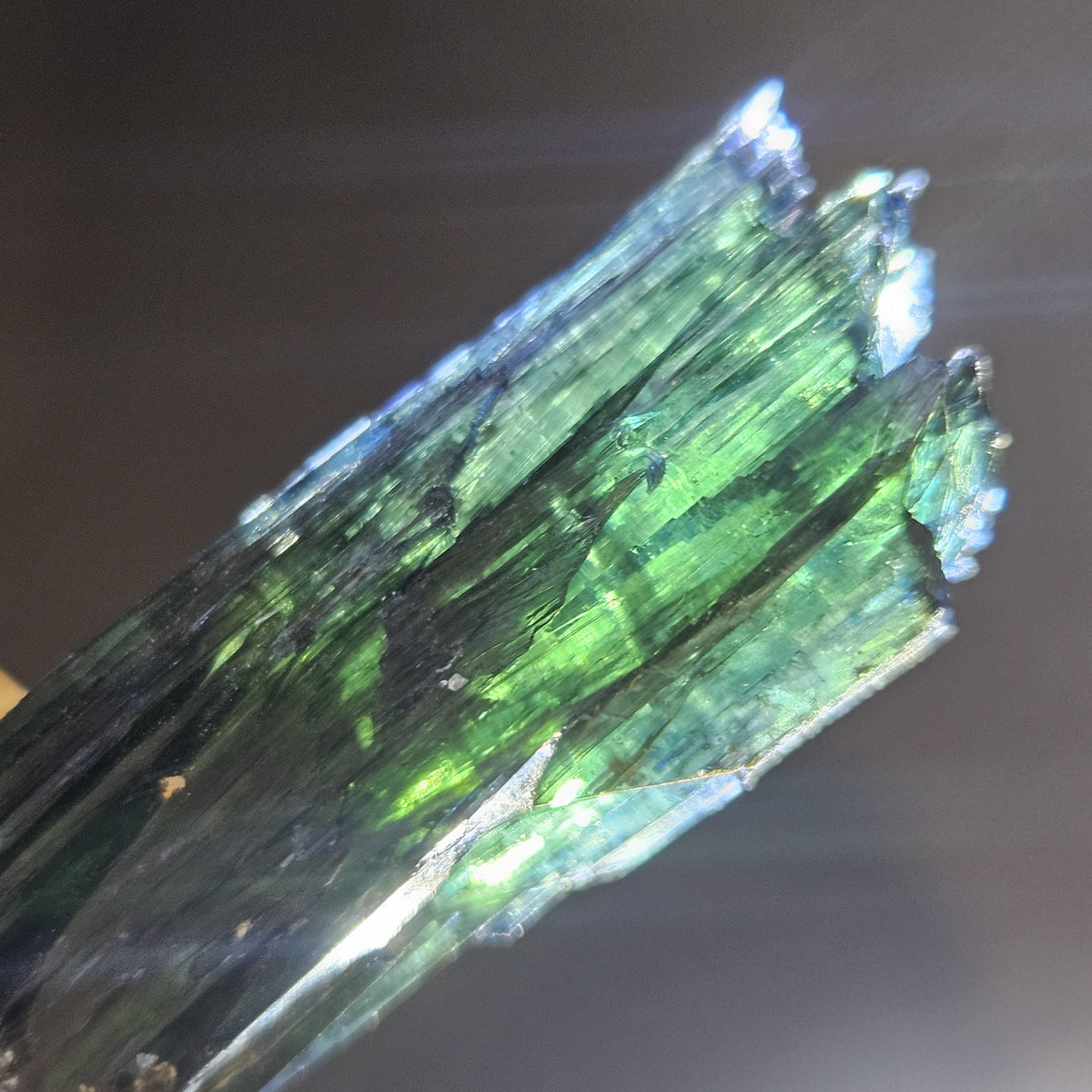 Vivianite Crystal Cluster Specimen 12.17g