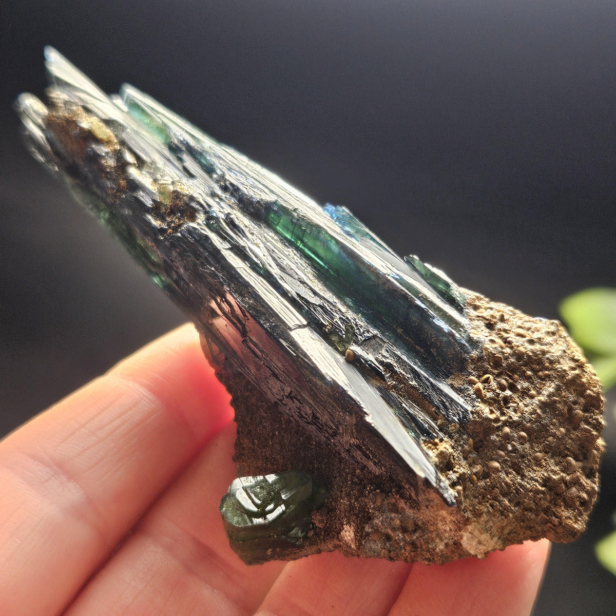 Vivianite Dragon Scale Crystal Specimen 49.40g