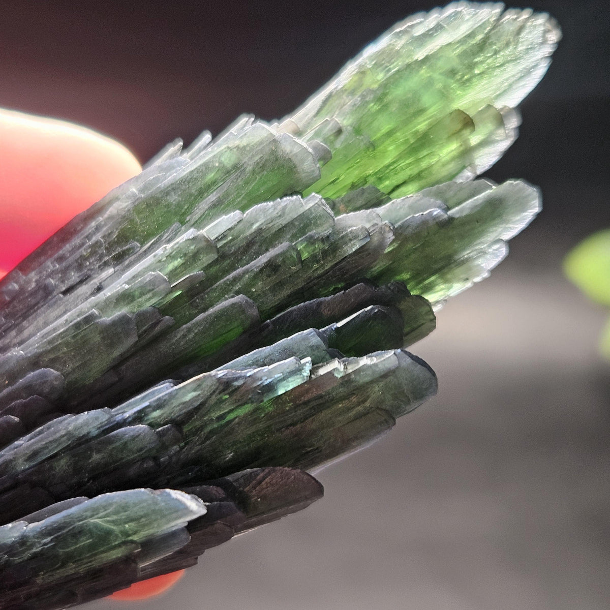 Vivianite Crystal Specimen