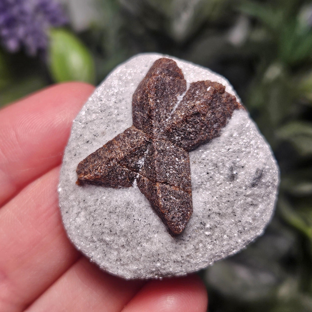 Raw Staurolite Crystal, Natural Fairy Cross Stone Specimen