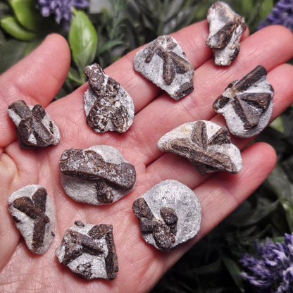 Raw Staurolite Crystal, Natural Fairy Cross Stone Specimen