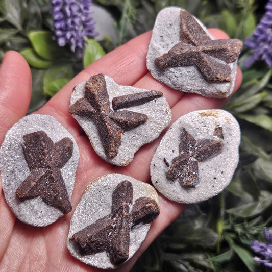 Raw Staurolite Crystal, Natural Fairy Cross Stone Specimen