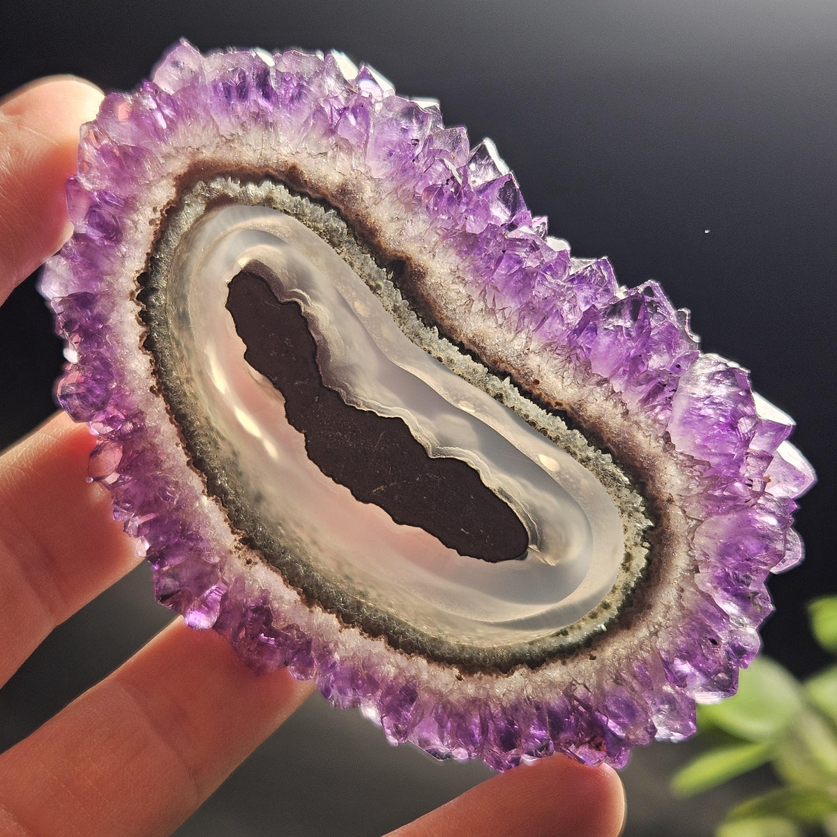 AAA Uruguay Amethyst Stalactite Slice (75 x 55mm)